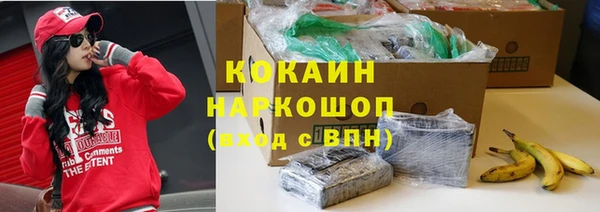 гашик Арсеньев