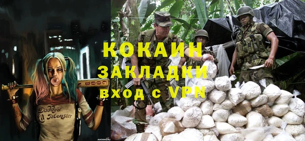 гашик Арсеньев