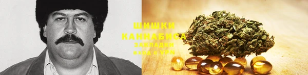 крисы Аркадак