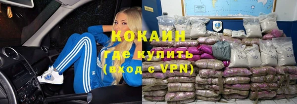 гашик Арсеньев